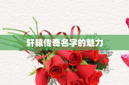 轩辕传奇名字的魅力图片