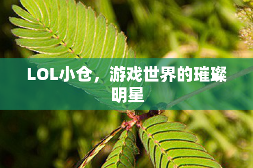 游戏世界的璀璨明星图片