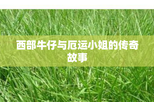 西部牛仔与厄运小姐的传奇故事图片