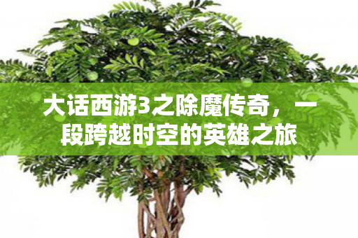一段跨越时空的英雄之旅图片