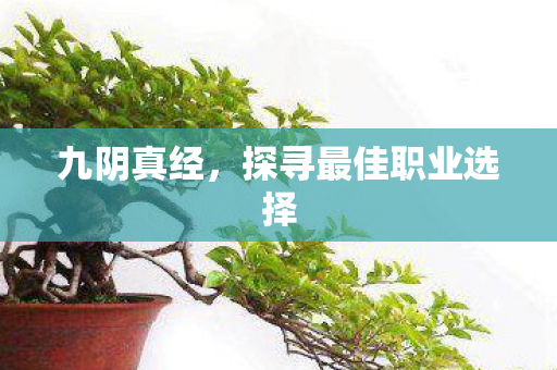 探寻最佳职业选择图片