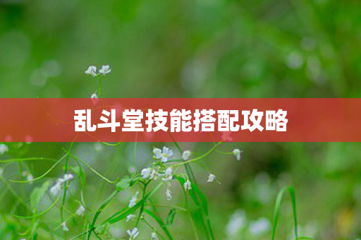 乱斗堂技能搭配攻略图片