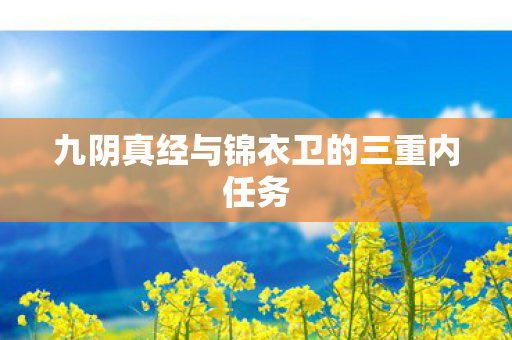 九阴真经与锦衣卫的三重内任务图片