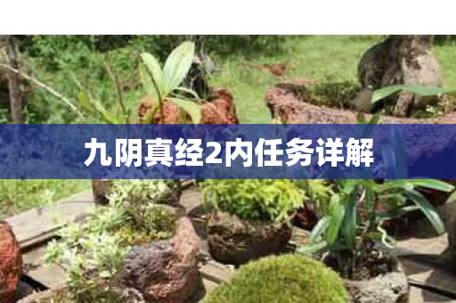 九阴真经2内任务详解图片