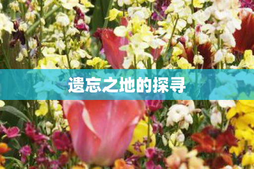 遗忘之地的探寻图片