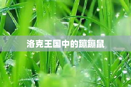 洛克王国中的蹦蹦鼠图片