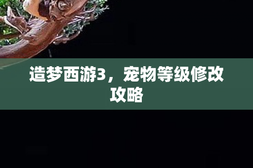 宠物等级修改攻略图片