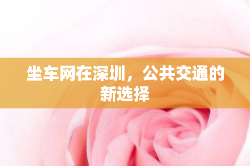 公共交通的新选择图片
