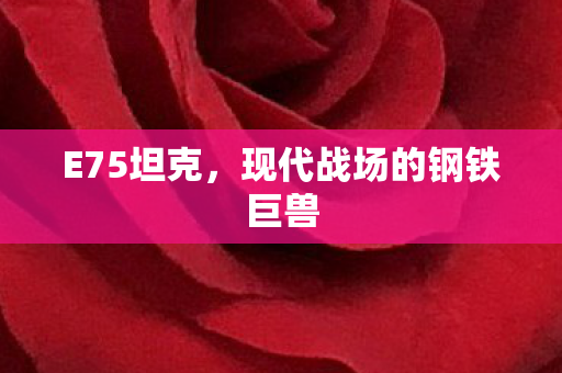 现代战场的钢铁巨兽图片