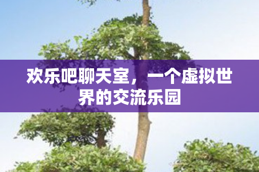 一个虚拟世界的交流乐园图片
