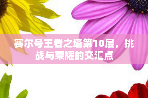 赛尔号王者之塔第10层图片