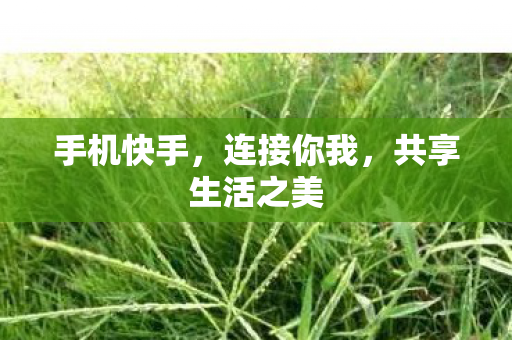 共享生活之美图片