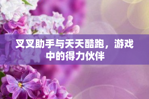 叉叉助手与天天酷跑图片