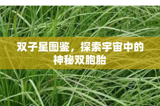 探索宇宙中的神秘双胞胎图片