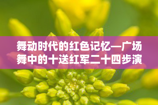 广场舞中的十送红军二十四步演绎图片