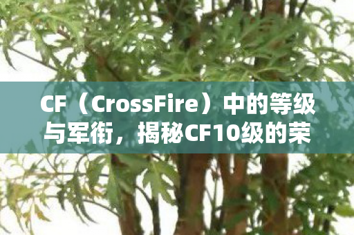 揭秘CF10级的荣誉图片
