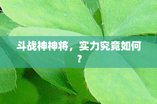 实力究竟如何图片