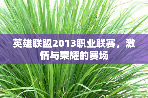 英雄联盟2013职业联赛图片