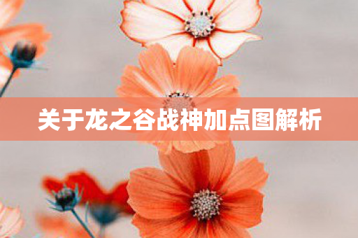 关于龙之谷战神加点图解析图片