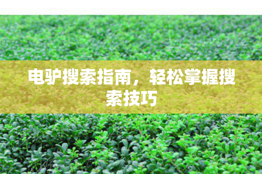 轻松掌握搜索技巧图片