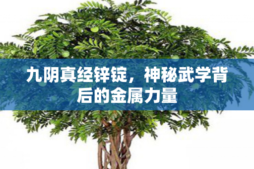 神秘武学背后的金属力量图片
