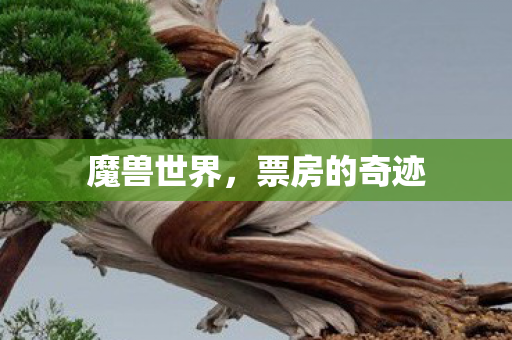 票房的奇迹图片