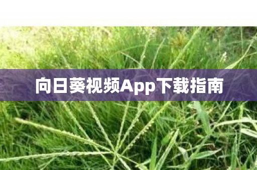 向日葵视频App下载指南图片