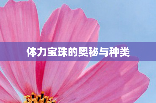 体力宝珠的奥秘与种类图片