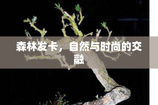 自然与时尚的交融图片