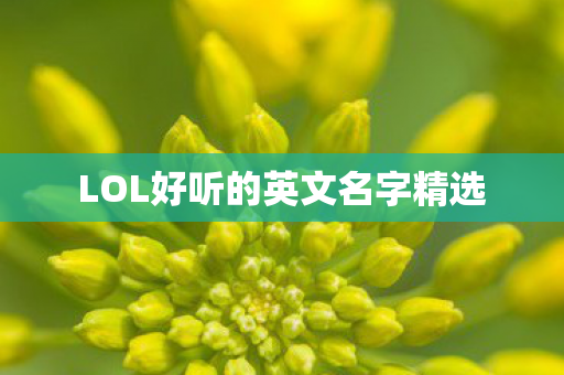 LOL好听的英文名字精选图片
