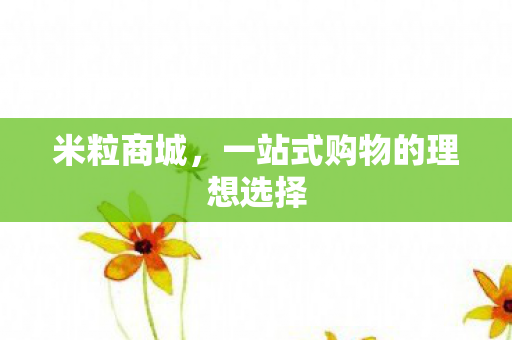 一站式购物的理想选择图片