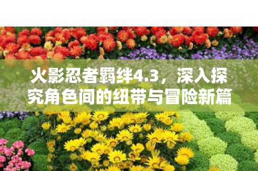 深入探究角色间的纽带与冒险新篇章图片