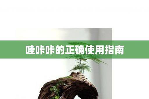 哇咔咔的正确使用指南图片