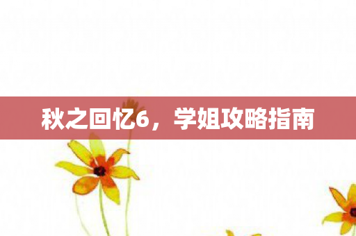 学姐攻略指南图片