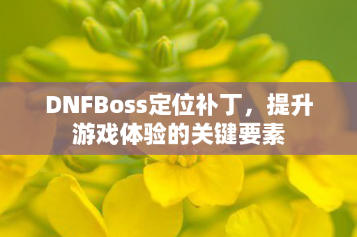 DNFBoss定位补丁图片