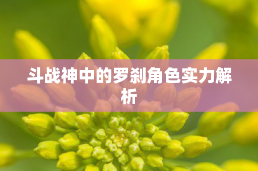 斗战神中的罗刹角色实力解析图片