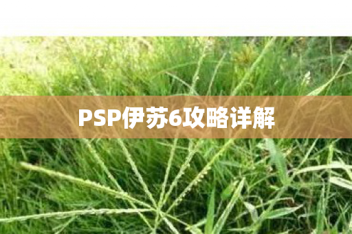PSP伊苏6攻略详解图片