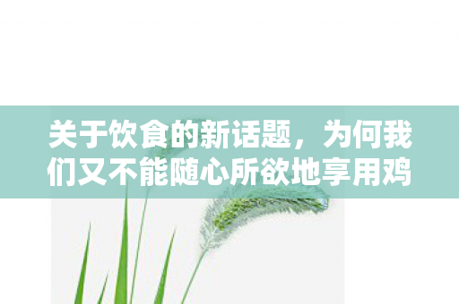 为何我们又不能随心所欲地享用鸡肉图片