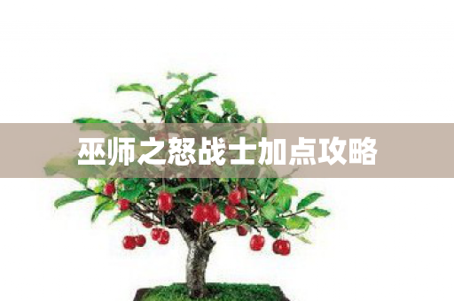 巫师之怒战士加点攻略图片