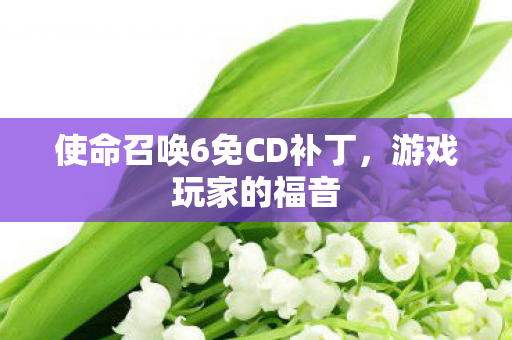 使命召唤6免CD补丁图片