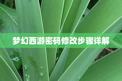 梦幻西游密码修改步骤详解图片