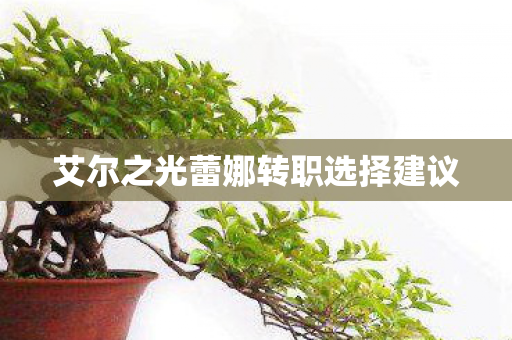 艾尔之光蕾娜转职选择建议图片