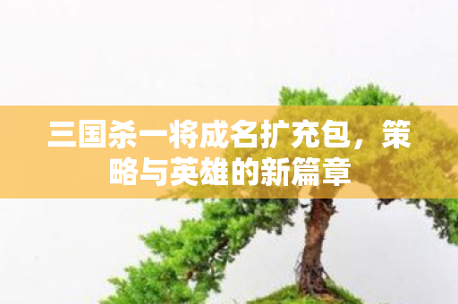 三国杀一将成名扩充包图片