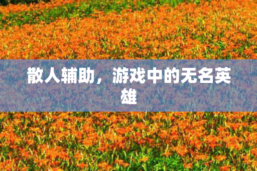 游戏中的无名英雄图片