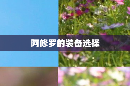 阿修罗的装备选择图片