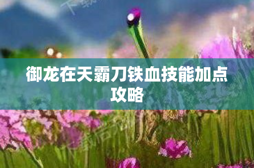 御龙在天霸刀铁血技能加点攻略图片
