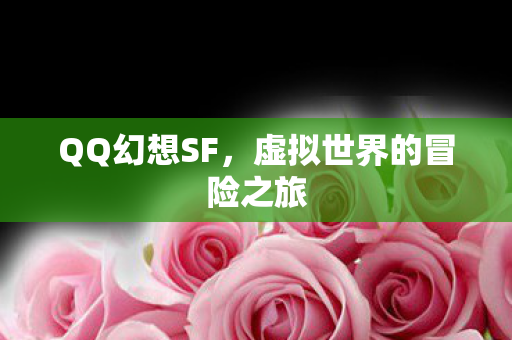 虚拟世界的冒险之旅图片
