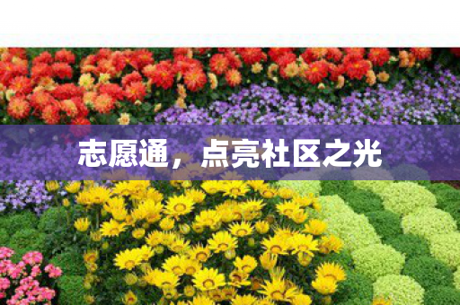 点亮社区之光图片