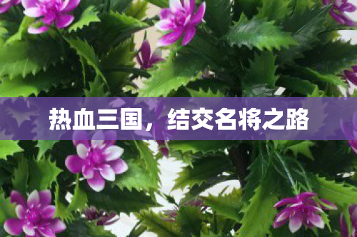 结交名将之路图片
