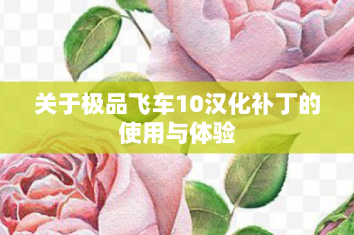 关于极品飞车10汉化补丁的使用与体验图片